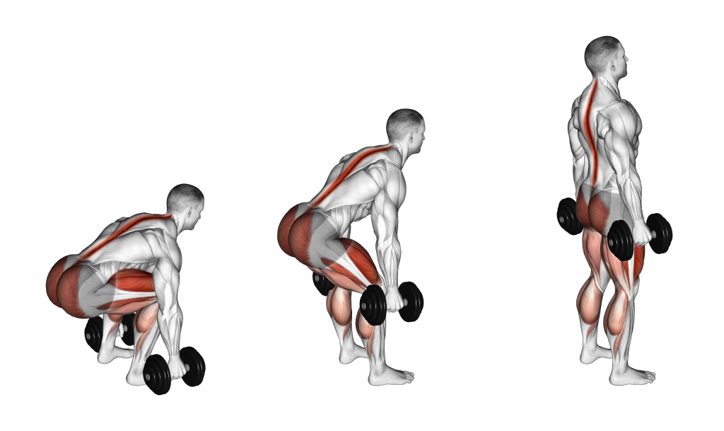 Best Lower Back Dumbbell Exercises